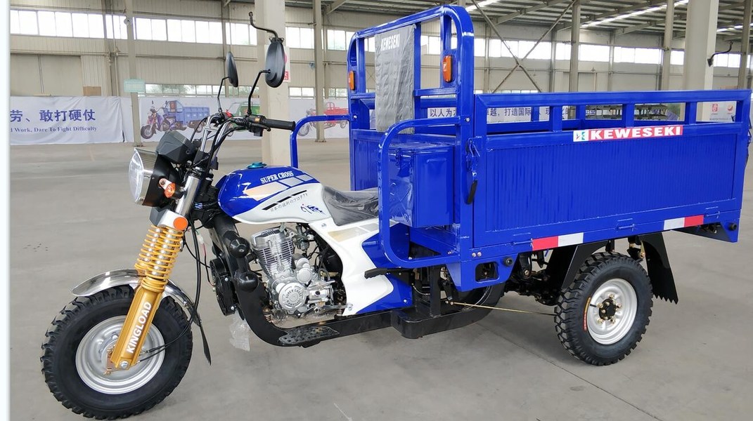 kwaliteit Elektrische Passagiersdriewieler fabriek