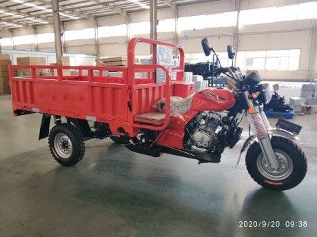 De Ladingsdriewieler met drie wielen van de Motorfiets Zware Lading 200CC