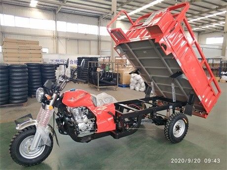 De Ladingsdriewieler met drie wielen van de Motorfiets Zware Lading 200CC