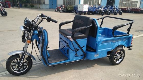 4 het Gasbromfiets van het slag12v9ah 300kg 3 Wiel