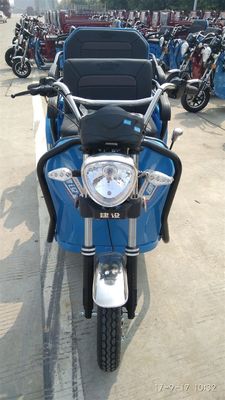 4 het Gasbromfiets van het slag12v9ah 300kg 3 Wiel