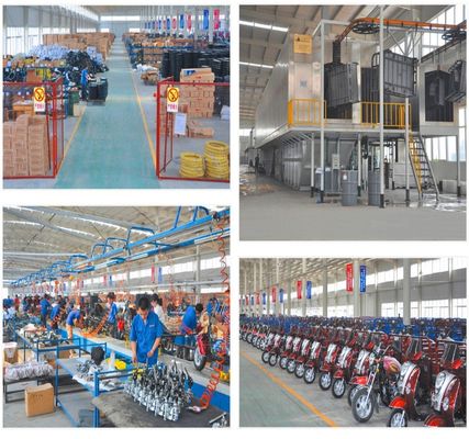 3 Wheel Electric Rickshaw 50km/H Motorized Passenger Tricycle