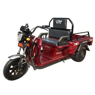 de Elektrische Driewieler van 48V 20Ah met Passagiersseat