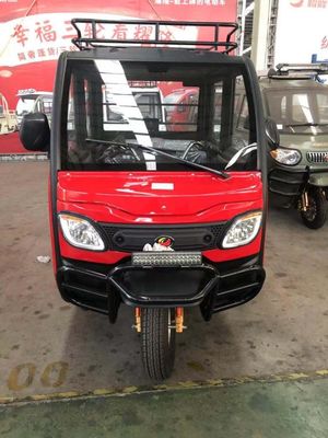 Elektrische Autoped 2.7*1.2*1.7m de Driewieler van Tuk Tuk