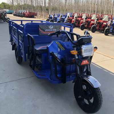 Van de micro- de Liggende 48v 800W 3 Motorfiets Wiellading