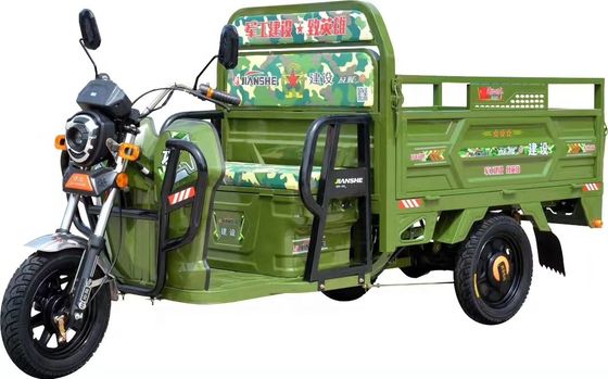 Elektrische Stortplaats 1 Ton Driewieler van de 800 Watts de Volwassen Lading
