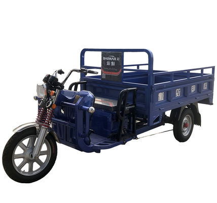 Bicyclette de tricycle de cargaison du degré 1000w de la pédale 15
