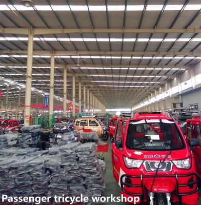Benzine 5 het Wielfietsen van Seat 500kg 3 voor Volwassenen