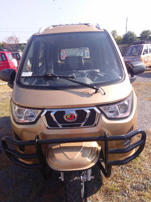 Grote Ruimteccc Trike 3 het Gasautopedden Met drie wielen van de Wielmotor voor Driewieler van de Volwassenen de Tuc Tuc Motorized Ingesloten Cabine