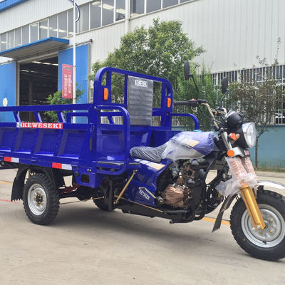 Cabine die de Volwassen Driewieler van de 3 Wiel150cc Lading beklimmen