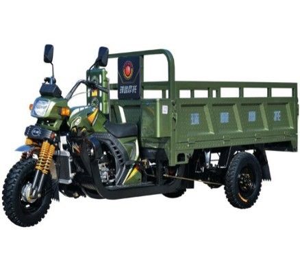 Volwassen 250cc-Ladingsdriewieler