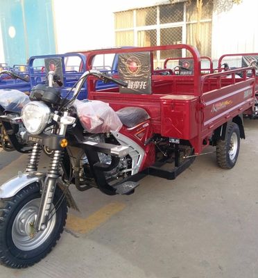 Vrachtwagen Gemotoriseerde Ladings250cc Driewielers