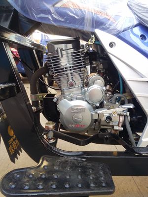 Vrachtwagen Gemotoriseerde Ladings250cc Driewielers