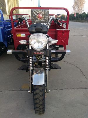 Vrachtwagen Gemotoriseerde Ladings250cc Driewielers