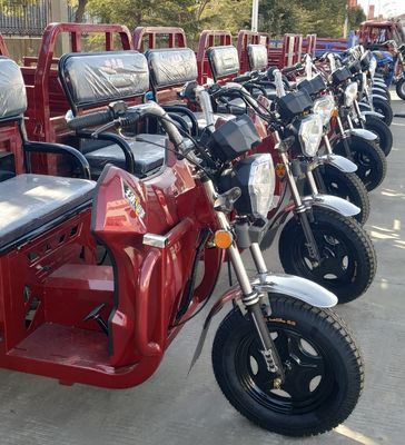 Open Lichaam 33 de Driewieler van de Schok120cc Benzine