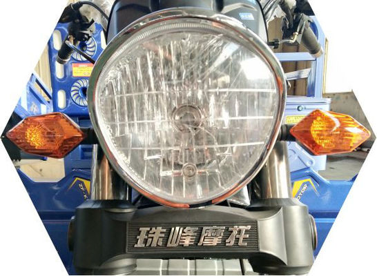 Gemotoriseerde de Benzinedriewieler van het Ladings250cc 3 Wiel