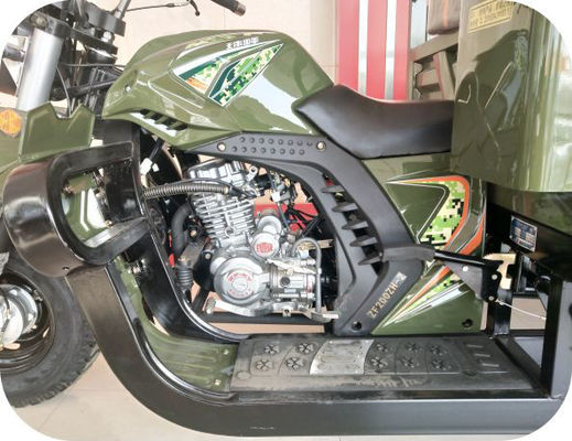 Gemotoriseerde de Benzinedriewieler van het Ladings250cc 3 Wiel
