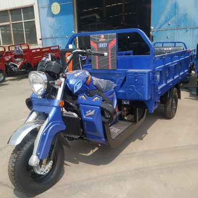 De Motorfiets van de het Wiellading van de riksjabenzine 60000m/H 3