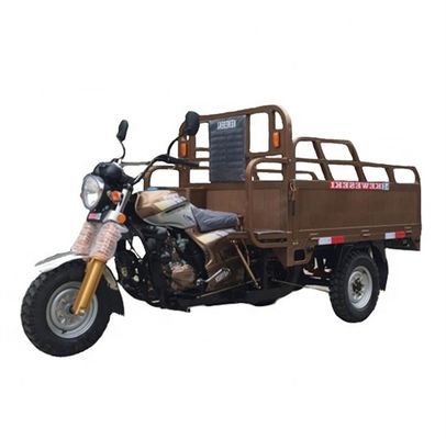 Volwassen Benzine80km/h 250cc Fiets Met drie wielen met Motor