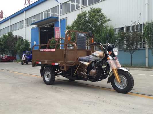 Volwassen Benzine80km/h 250cc Fiets Met drie wielen met Motor