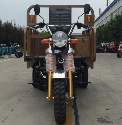 De Ladingsdriewieler van de benzinebenzine 80km/H 150CC