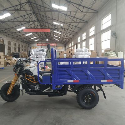 De open Elektrische Driewieler van 350kg 150cc voor Passagier
