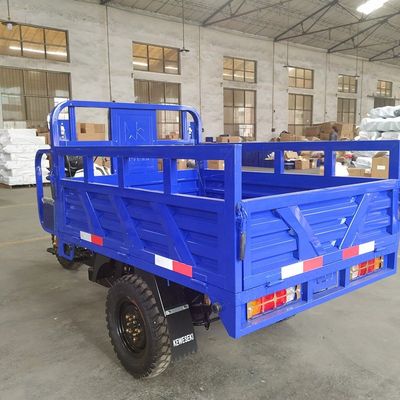 De open Elektrische Driewieler van 350kg 150cc voor Passagier