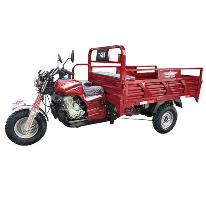 Gemotoriseerde Lift 3 de Driewieler van de Wiel250cc Lading