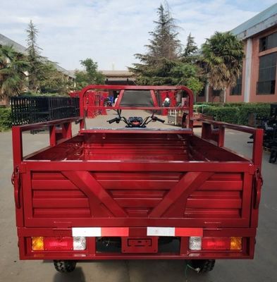 Gemotoriseerde Lift 3 de Driewieler van de Wiel250cc Lading
