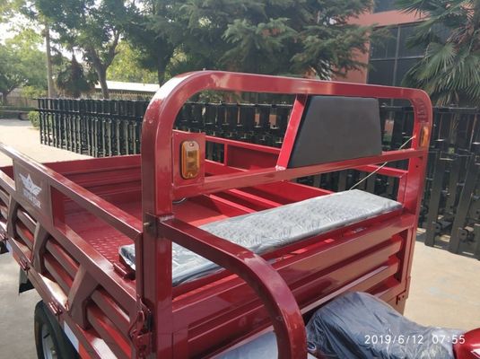 Benzine 1 Ton200cc Motorfiets Trikes voor Volwassenen