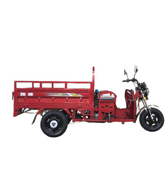 Pedaal 1.0m*3.1m de Bromfiets van het Wieltrike van 110cc 3