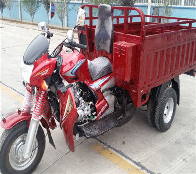Driewieler van de de Volwassenen250cc Lading van de pedaalautoped de Elektrische