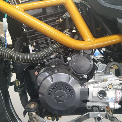 Volwassen Lading 1.8m*1.3m het Voedselkar Met drie wielen van 80km/H