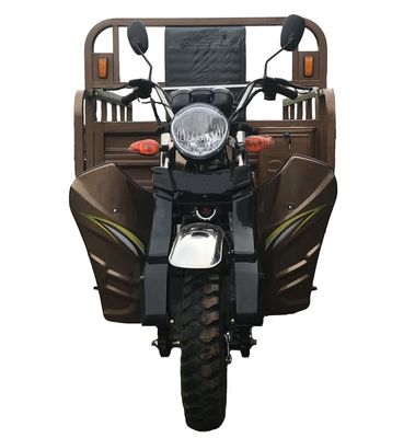 De Ladingsdriewieler van de tuin Op zwaar werk berekende 3.4m 250cc E Fiets