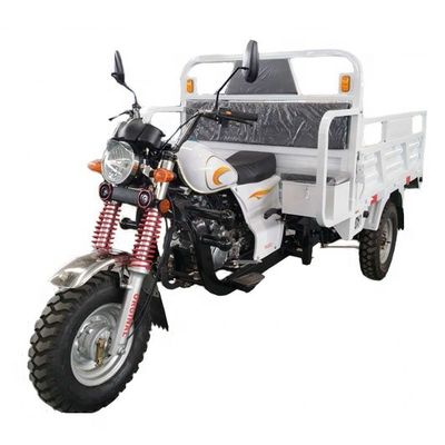 150cc 3 de Motorfiets van de Wiellading