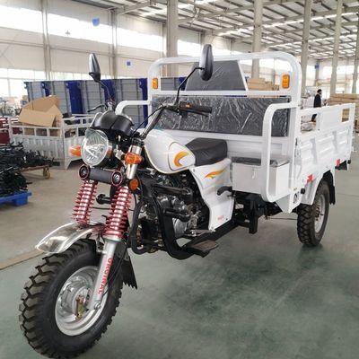 150cc 3 de Motorfiets van de Wiellading