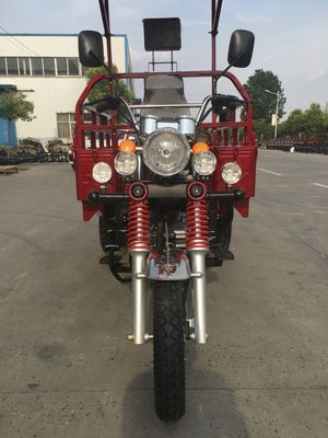 Riksja 1.8m*1.2m de Driewieler van de het Wielbenzine van 175cc 3