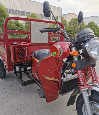 De Driewieler van de de Ladingsmotor van de Waterkoelingsbenzine 175cc