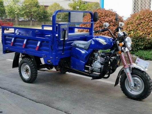 moto de cargaison de la roue 800W 3
