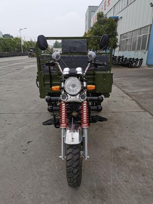 moto de cargaison de la roue 800W 3