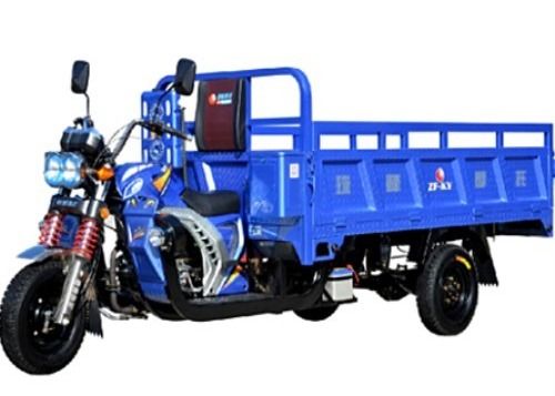 Motor 200CC 3 Wheeler Gas Motorized Tricycle