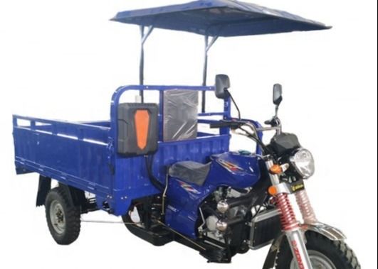 het Wielmotor van 65000m/H 250cc 3 met Dak