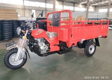 De Ladingsdriewieler met drie wielen van de Motorfiets Zware Lading 200CC