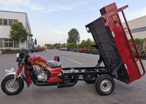 De Driewieler van de de Ladingsmotor van de Waterkoelingsbenzine 175cc