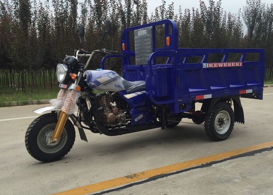 Cabine die de Volwassen Driewieler van de 3 Wiel150cc Lading beklimmen