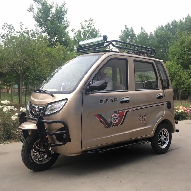 De Hoogste Merk Gesloten Cabine Mini Car Cheap Adult Tricycle van China Yaolon voor Verkoop 3 de Passagiersmotorfiets Met drie wielen van de Wieltaxi